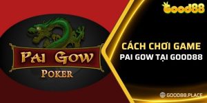 hướng dẫn chi tiết về cách chơi Pai Gow